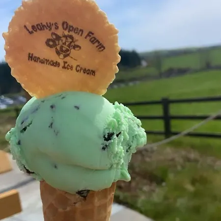 Leahys Pod Park 营地 科克