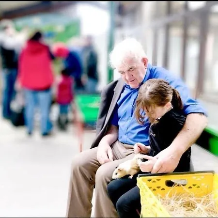 אתר קמפינג Leahys Pod Park קורק
