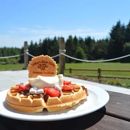 Leahys Pod Park 营地 科克