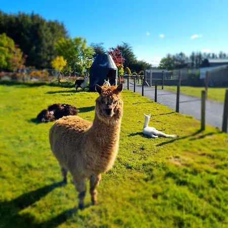 Leahys Pod Park * Cork