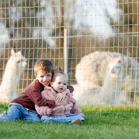 Kemping Leahys Pod Park *