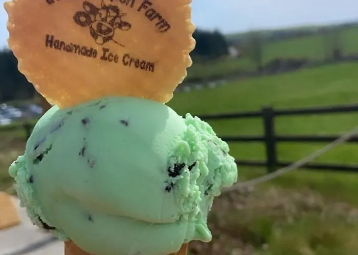 Leahys Pod Park Kemping Cork