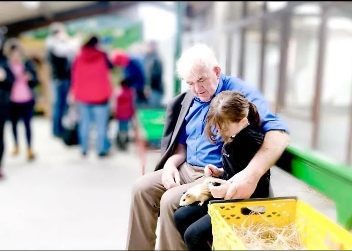 Kemp Leahys Pod Park Cork