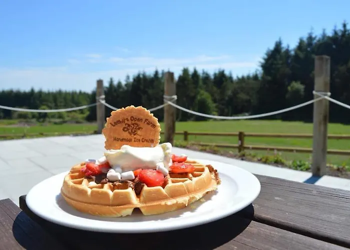 Leahys Pod Park Kemping Cork