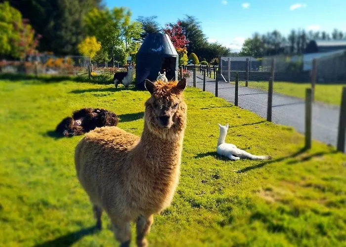 Leahys Pod Park * Cork