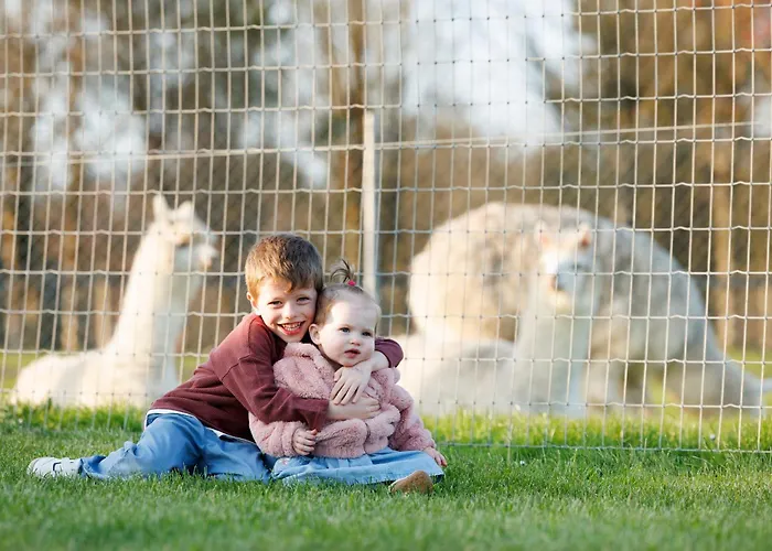 Kemping Leahys Pod Park *